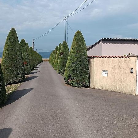 Charmante Maison Avec Piscine Anneyron Dış mekan fotoğraf